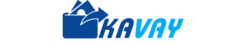 moneyveo.vn logo